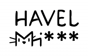 Havelmi eG - Logo
